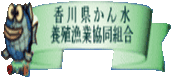 香川県かん水養殖漁業協同組合