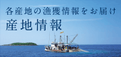 各産地の漁獲情報をお届け　産地情報