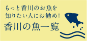 もっと香川のお魚を知りたい人にお勧め！　香川の魚一覧