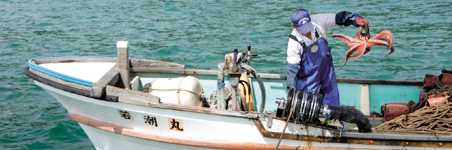 香川の漁業 Jf香川漁連