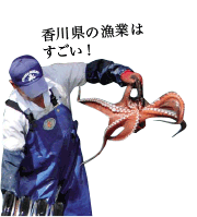 香川県の漁業はすごい！